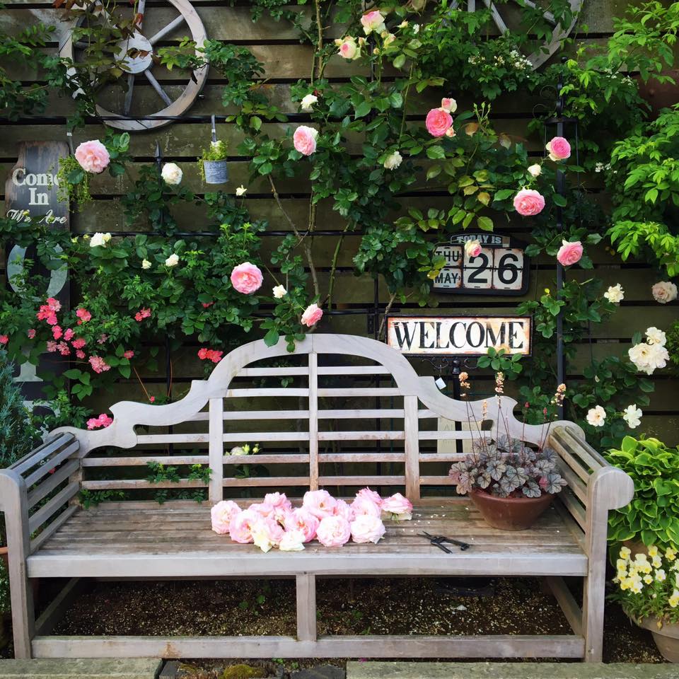 Pickup 全ての商品 – 植物家族