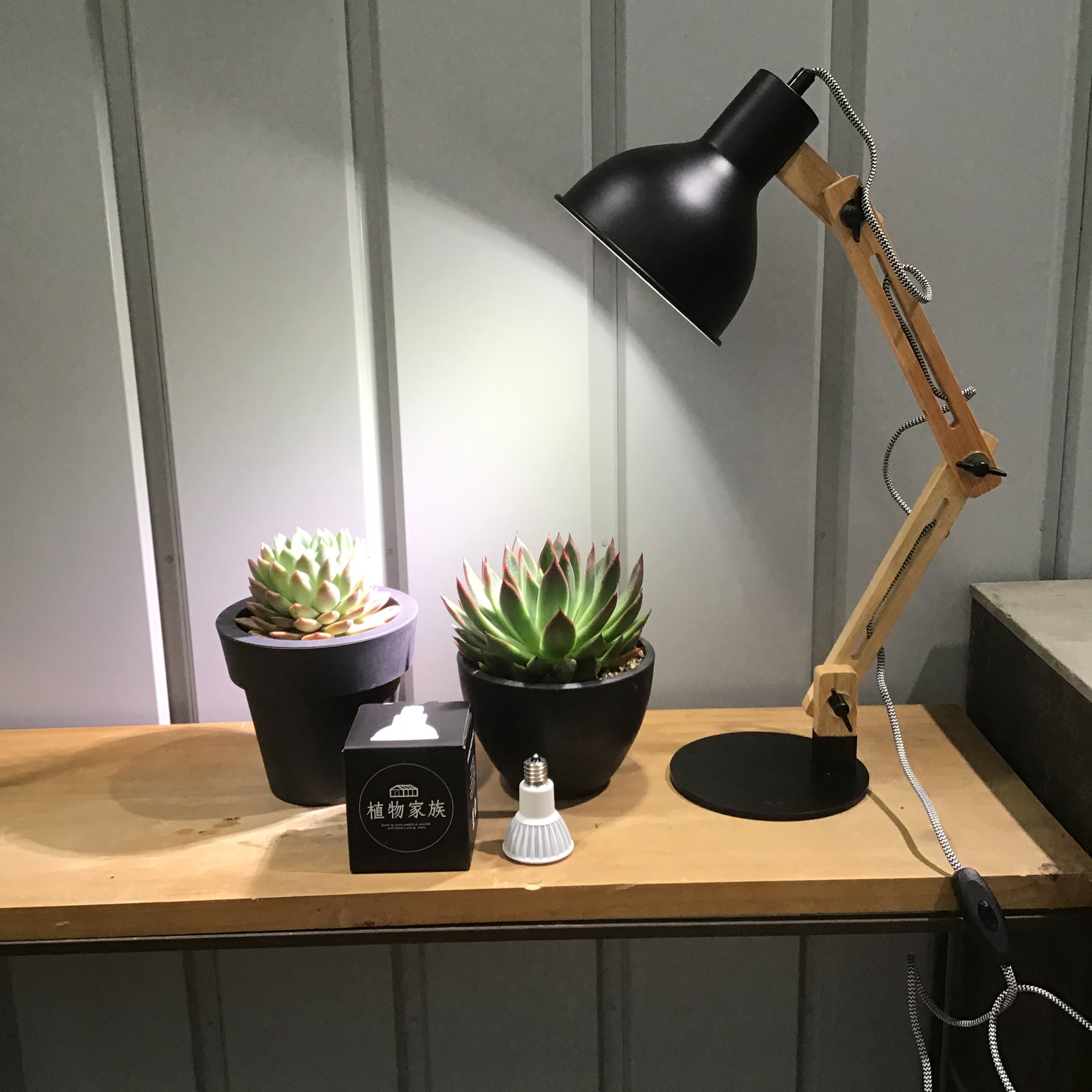 WANTKEY&H&O DS 希少植物育成ライト スタンド WANTKEY&H&O DS 希少植物 WANTKEY&H&O DS 希少植物育成ライト スタンド WANTKEY&H&O DS 希少植物