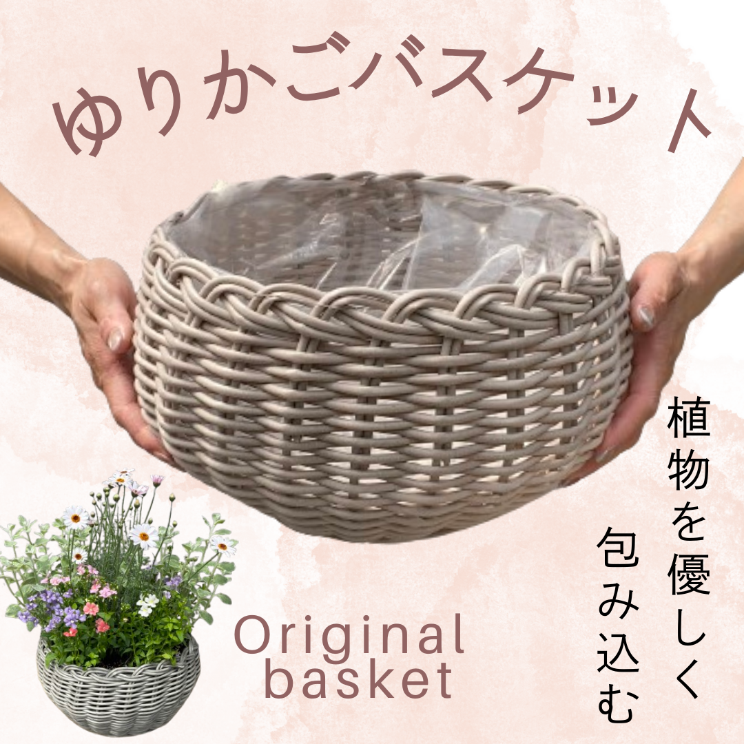 ゆりかごバスケット – 植物家族