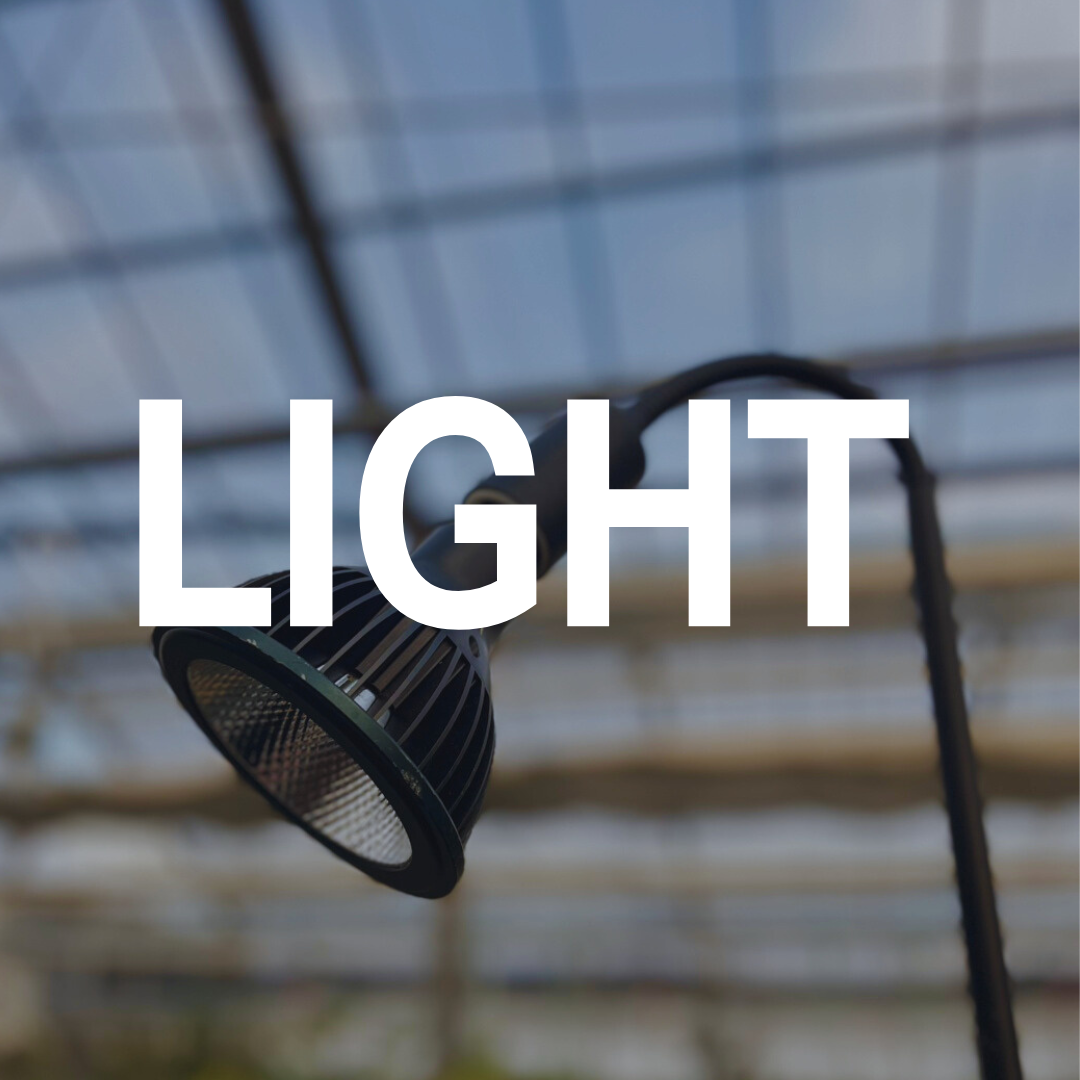 植物育成ライト・スタンド – 植物家族