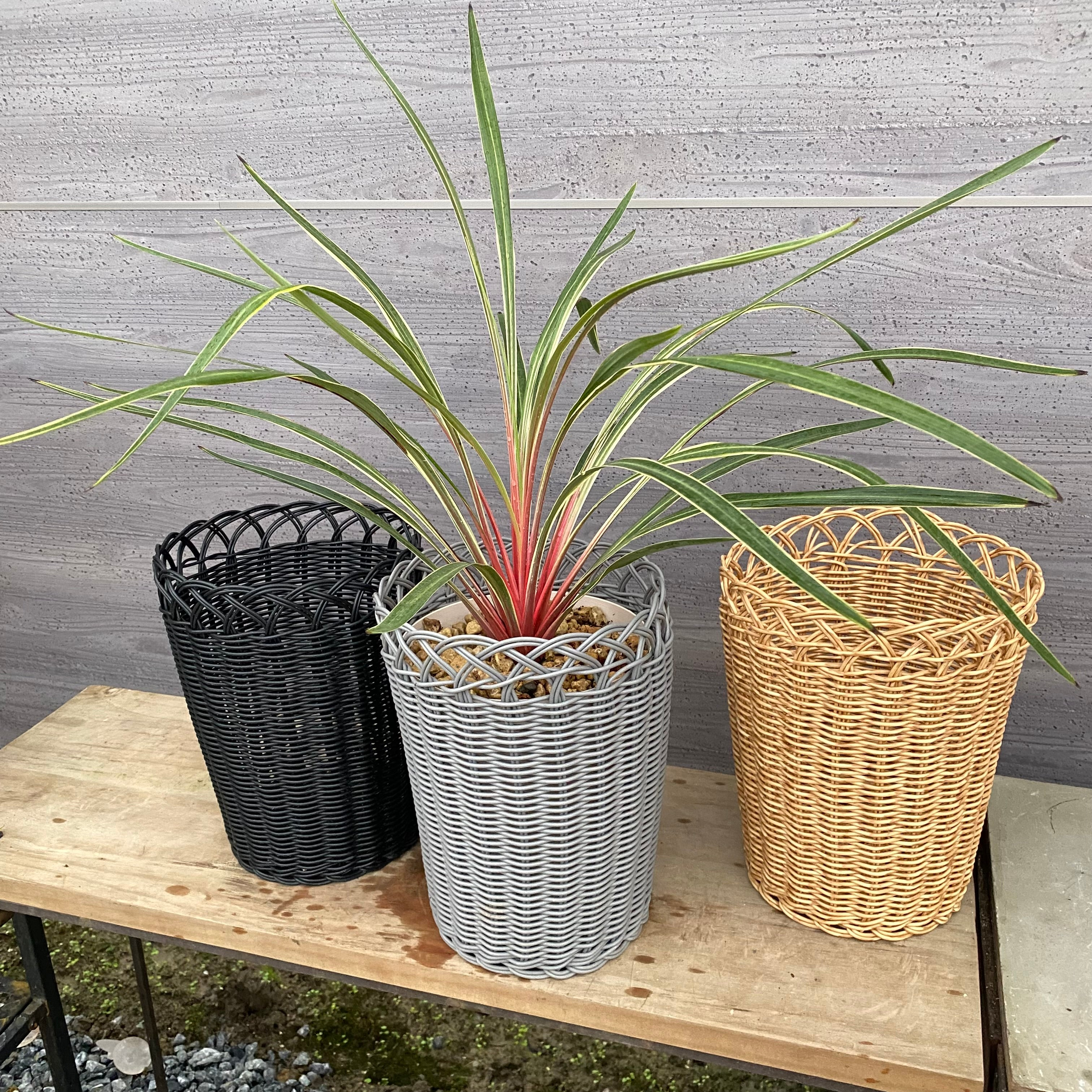 花付きカゴ 楽天市場】ラウンド型手付きホワイトミニバスケット（直径約13cm