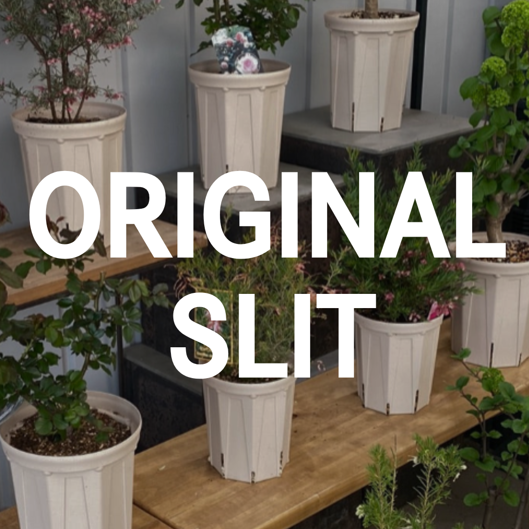 オリジナルスリット鉢・他 – 植物家族