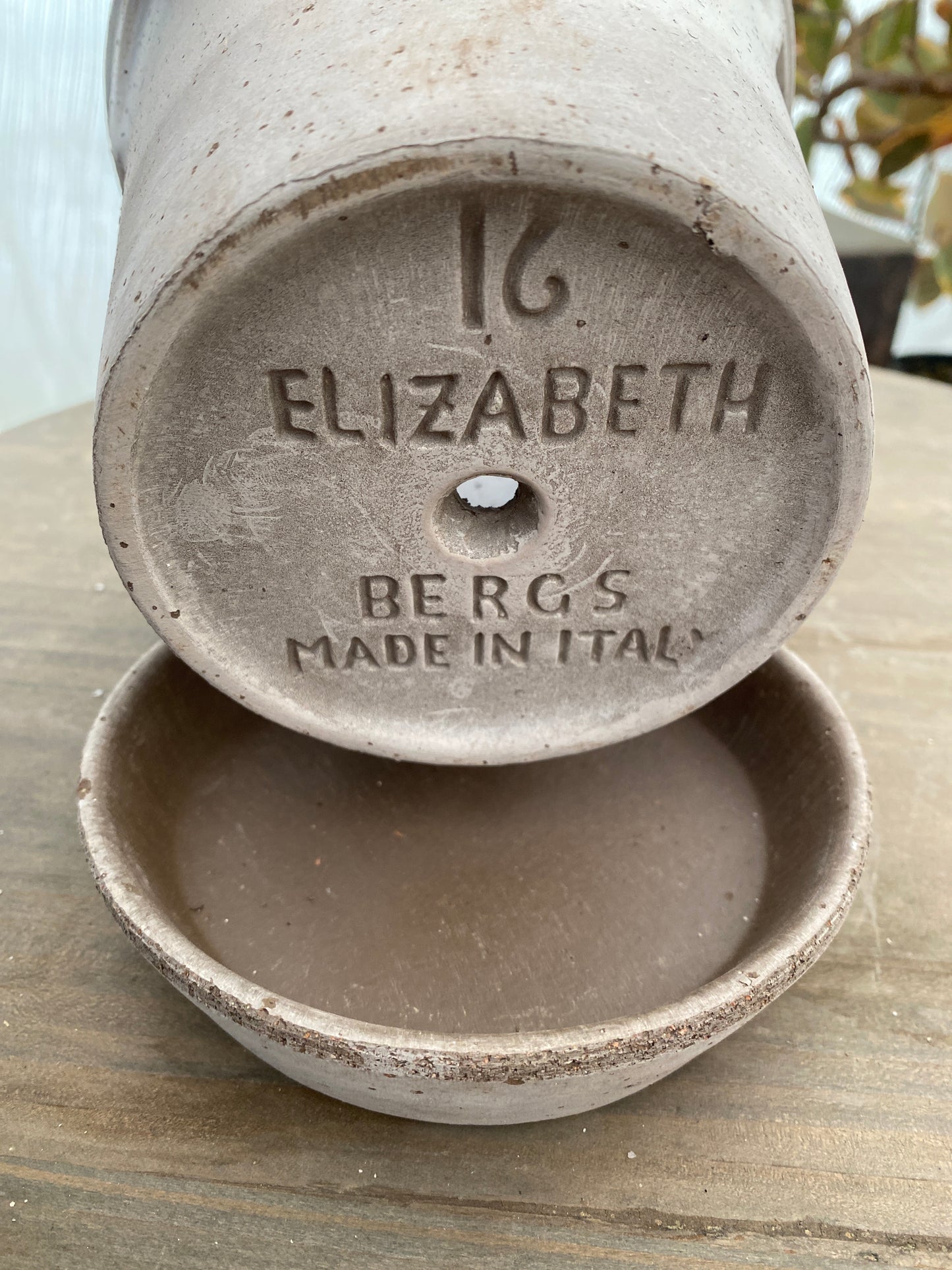 BERGS エリザベス16 グレー