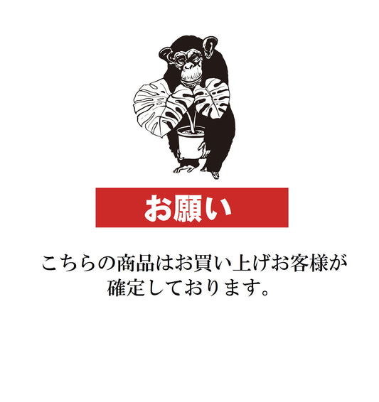 ririaaloha7738様売約済み 陶器鉢 ホワイト