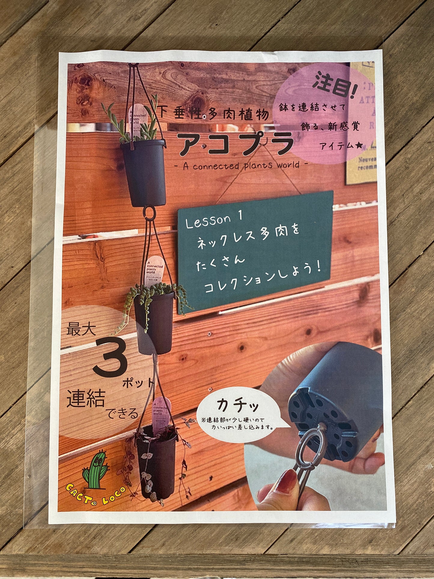 アコプラ 5個セット 2号鉢