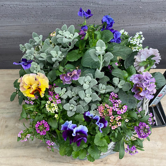 寄せ植えO ゆりかごバスケットグレー