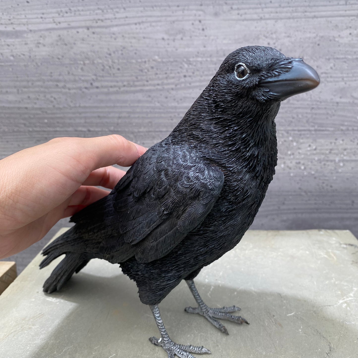 PET BANK シリーズ ハシボソガラス CARRION CROW 貯金箱 現品限り