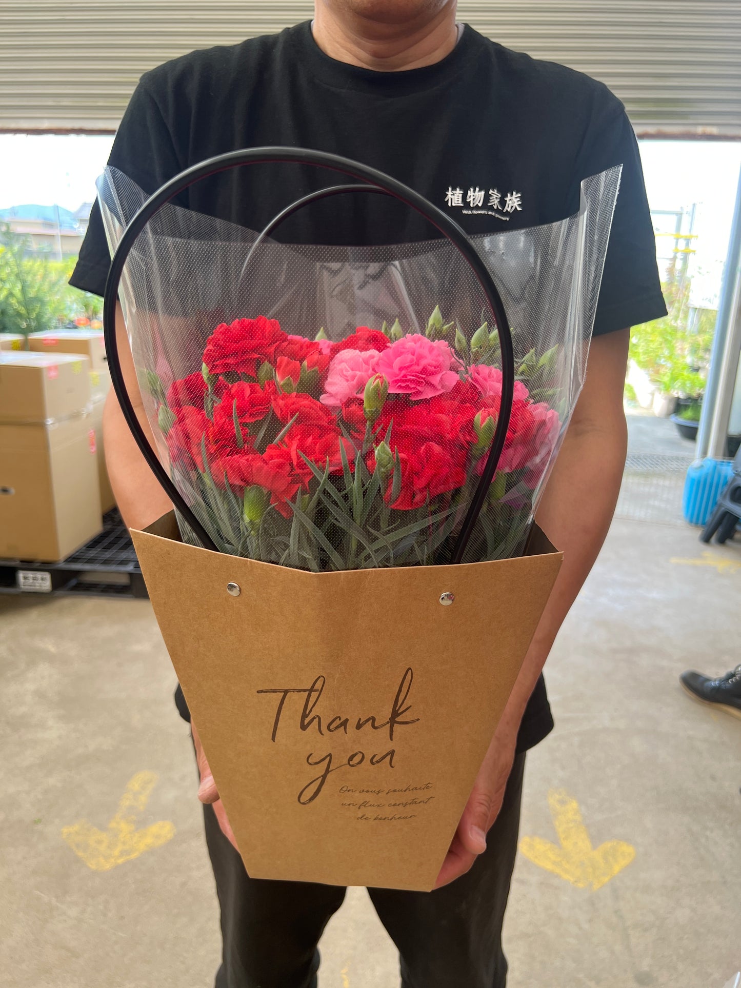 即売会SALE No.28001 カーネーション 2色植え 6号底面給水 バッグ付き