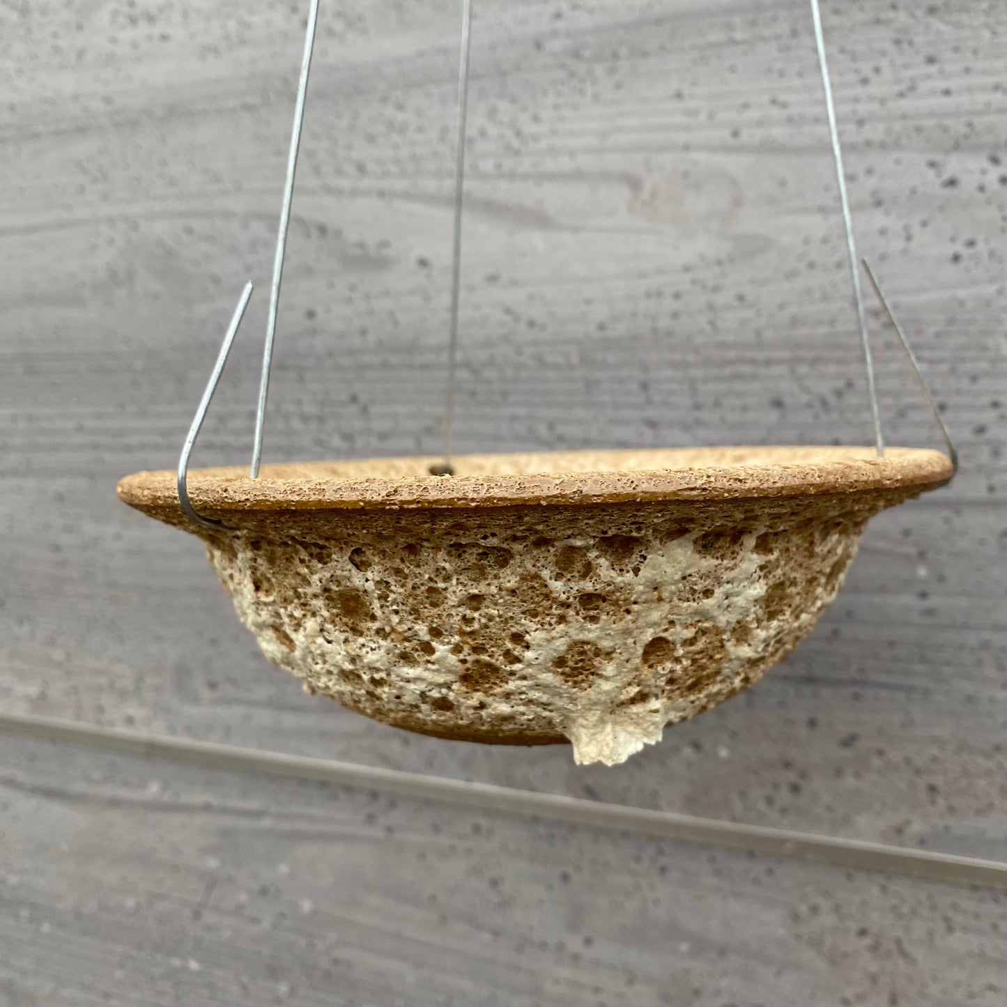 RIM BOWL PLANTER LAVA/RED