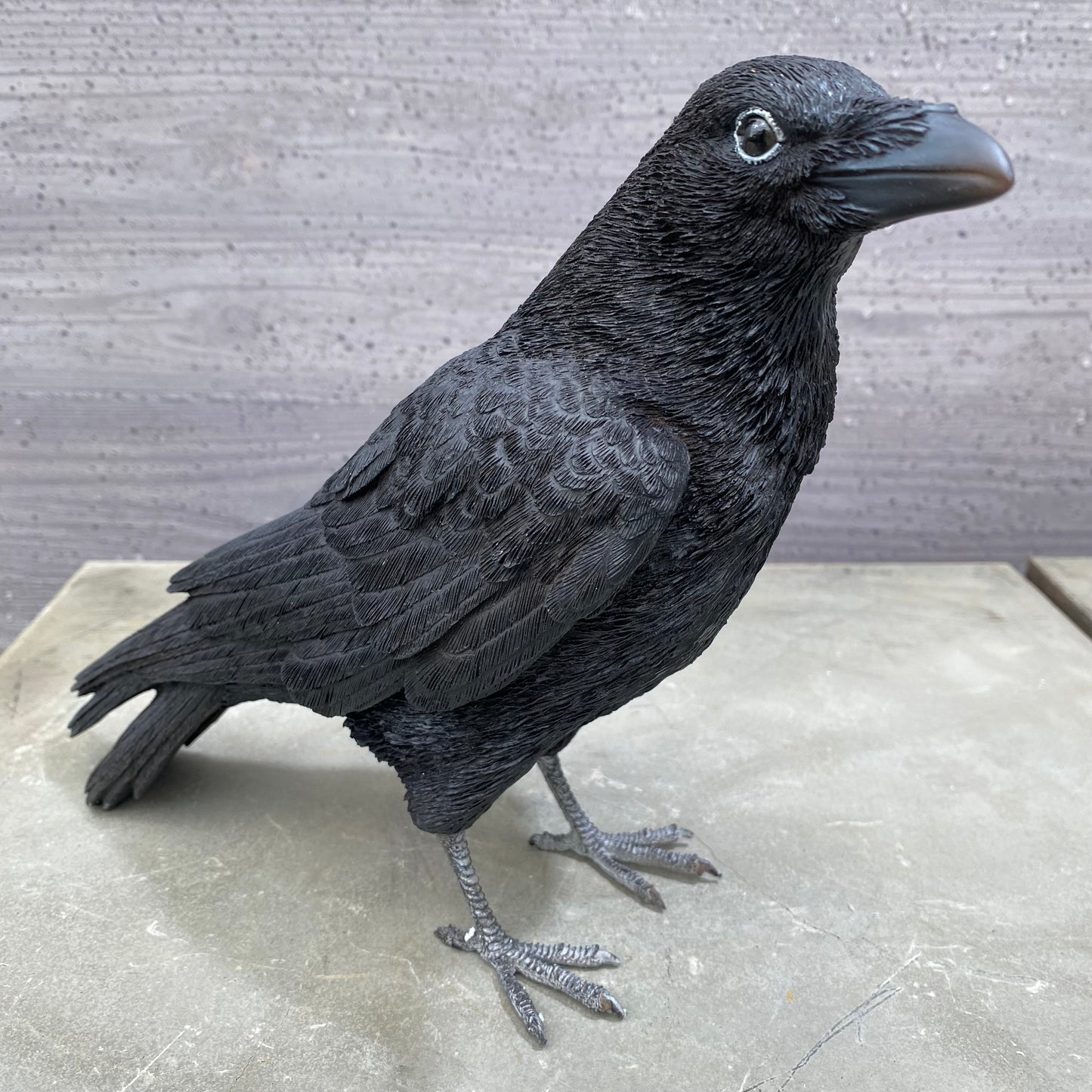 PET BANK シリーズ ハシボソガラス CARRION CROW 貯金箱 現品限り