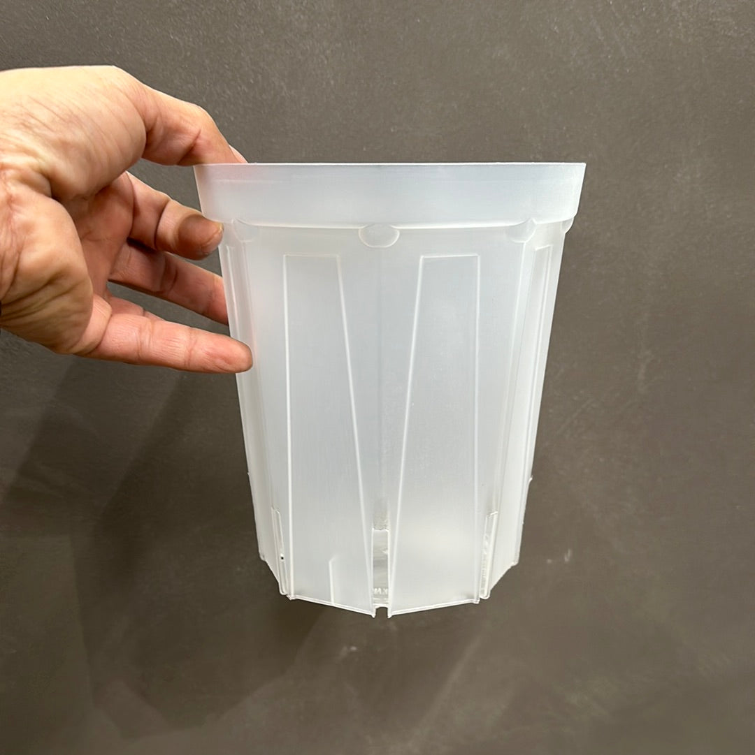 半透明スリット鉢 ★ ネガミエル 5号 (15㎝) 5個セット