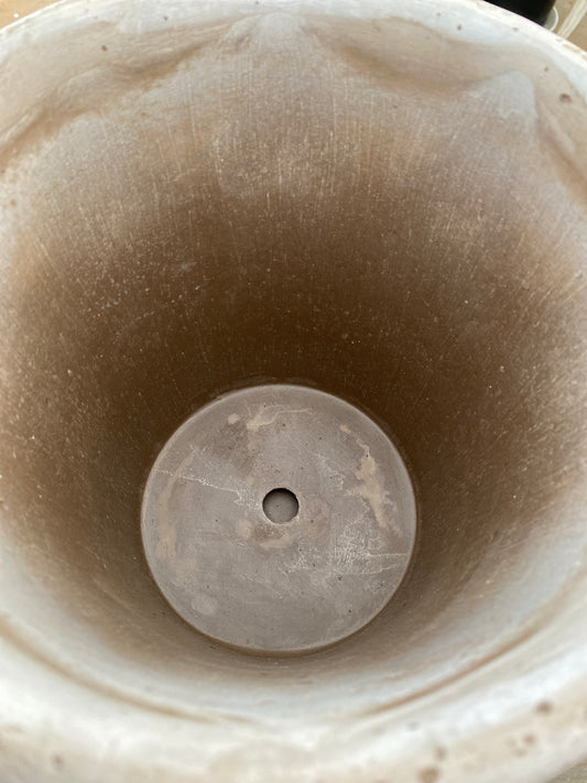 BERGS エリザベス21 グレー