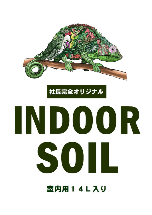 社長完全オリジナル培養土★インドア用