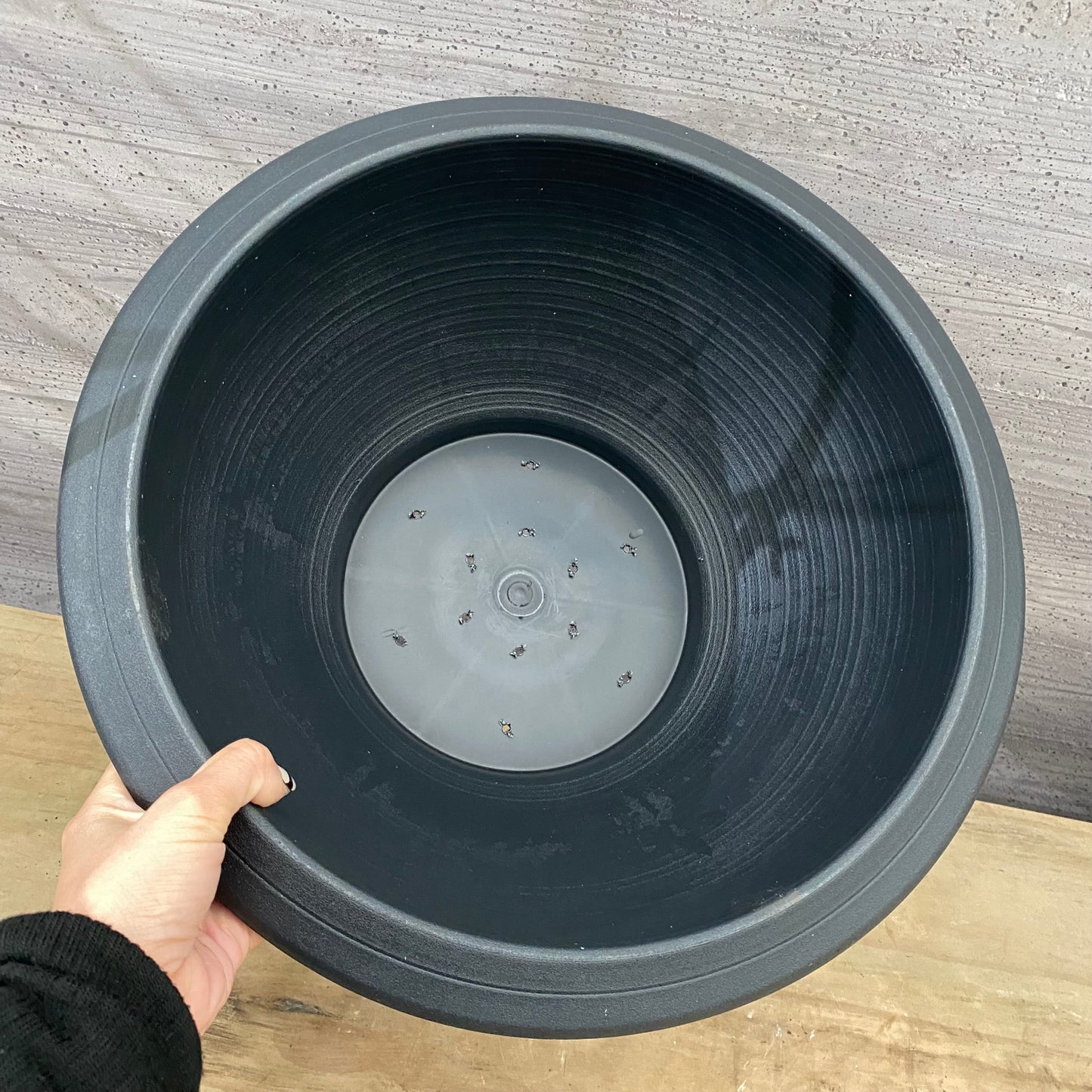 睡蓮鉢 プラスチック Mサイズ ひゅうが土セット