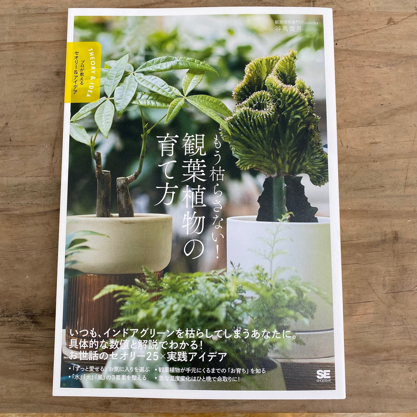 専門誌★もう枯らさない!観葉植物の育て方【著者:観葉植物専門店cotoha 谷奥俊男】★木製園芸ラベル付き