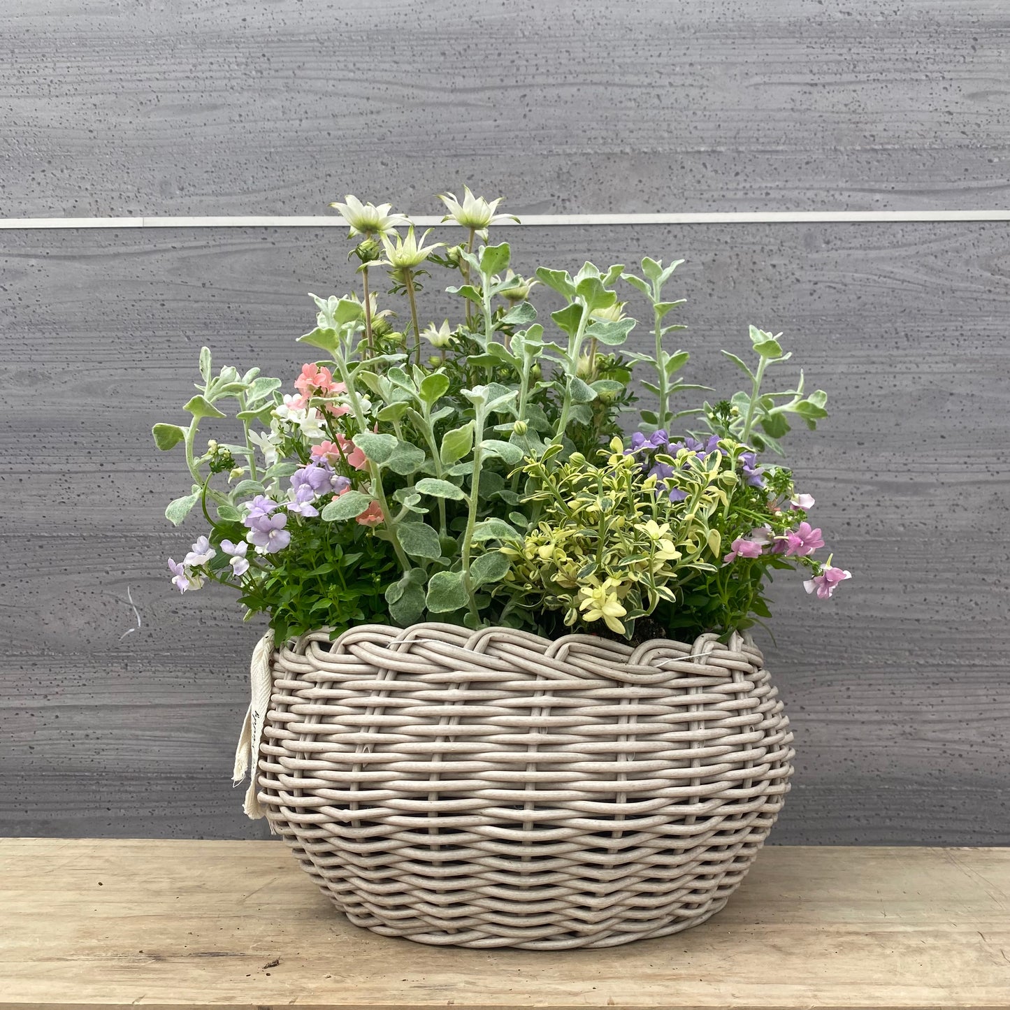 ★社長完全オリジナル ゆりかごバスケット ベージュ