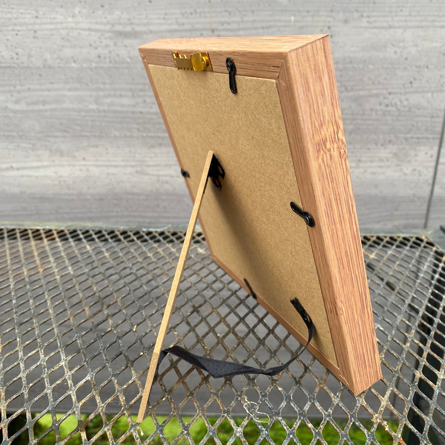 ボタニカルアートフレーム エアプランツ