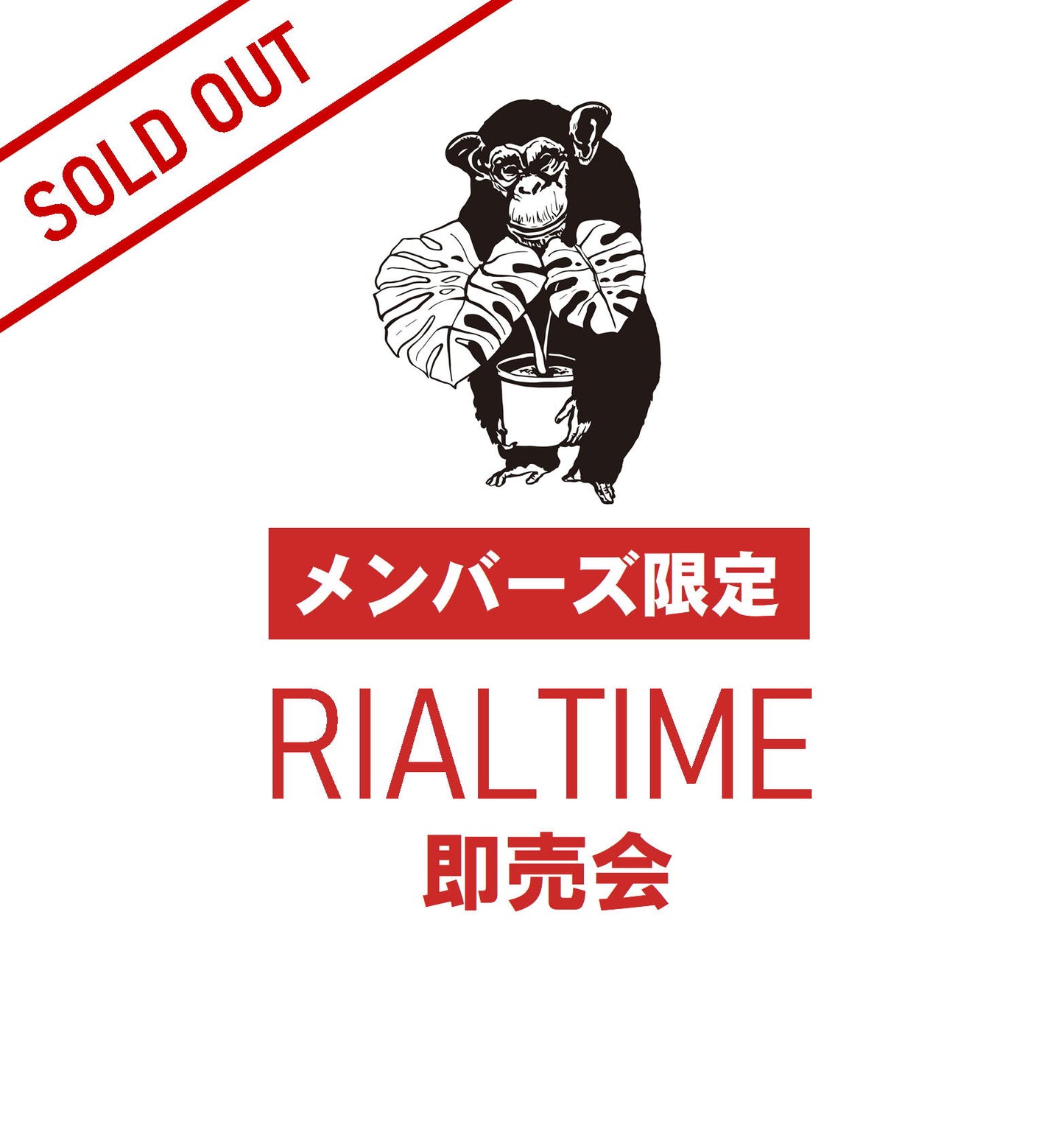 三枝子様売約★リュウカデンドロン