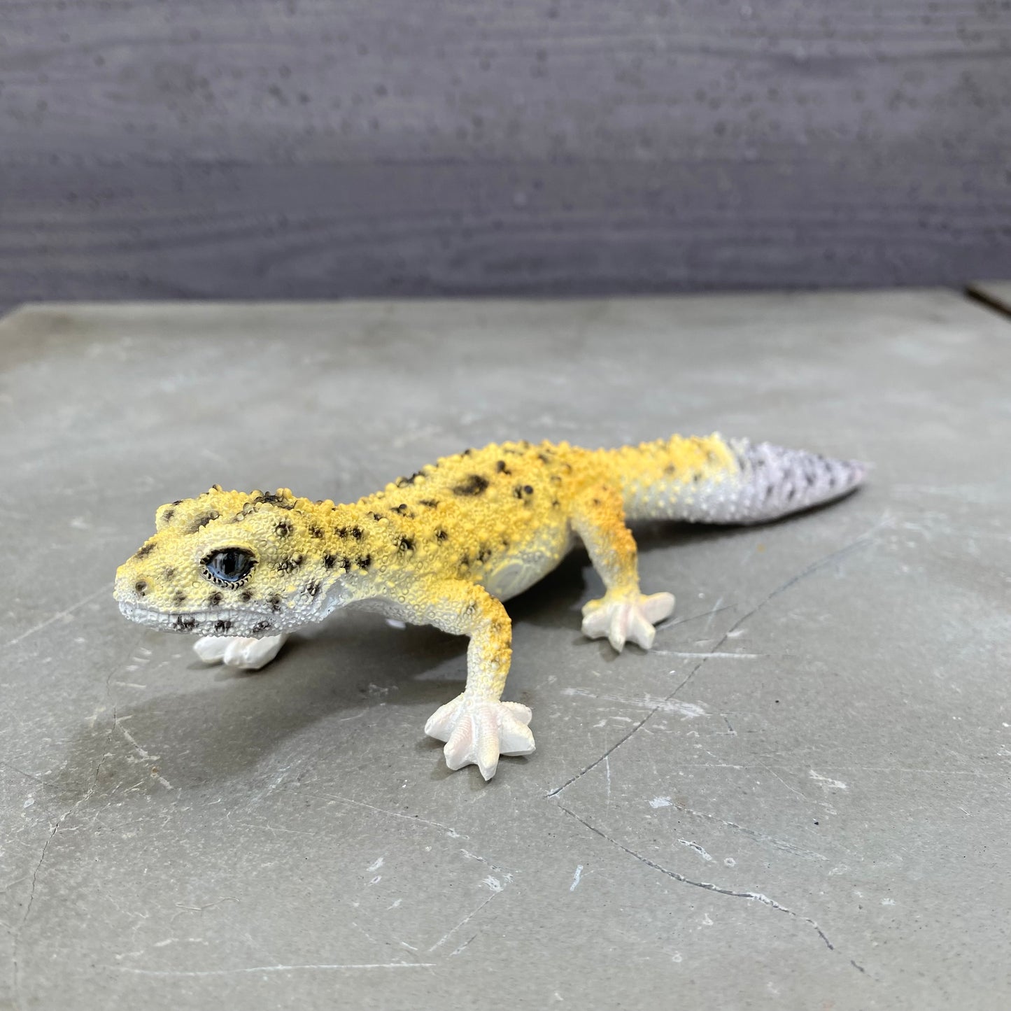マグネットシリーズ ヒョウモントカゲモドキ (HIGH YELLOW) 口元にマグネット