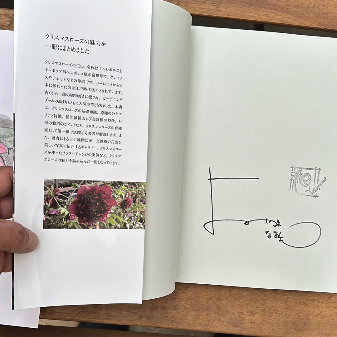★クリスマスローズ専門誌【著者:横山直樹】★横山直樹氏直筆サイン記入