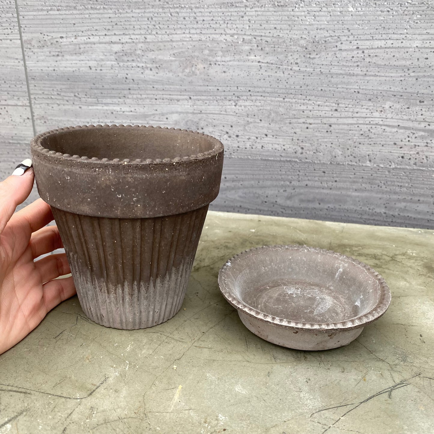 BERGS 陶器鉢 シモナ 12 Sサイズ グレー 受け皿付き