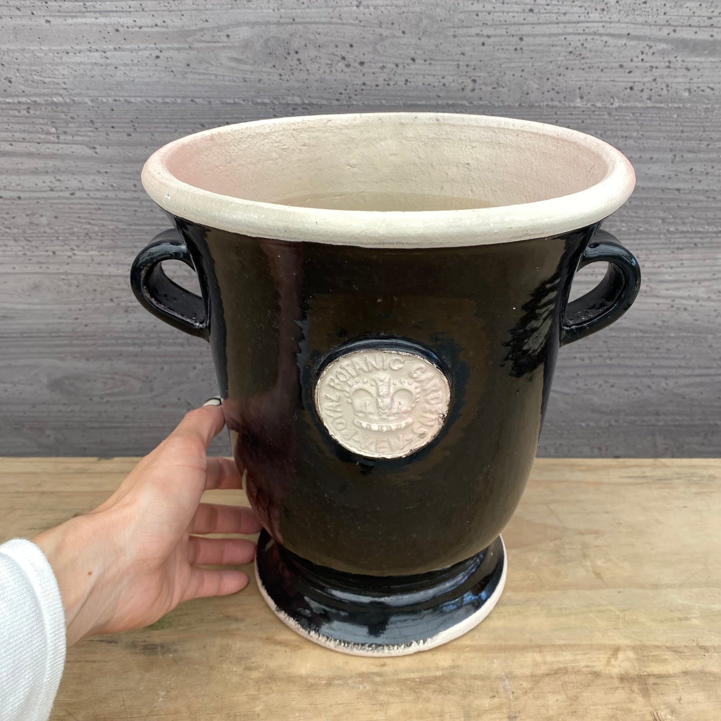 オルガ キューポット ブラックベリー L ROYAL BOTANIC GARDENS-KEW-