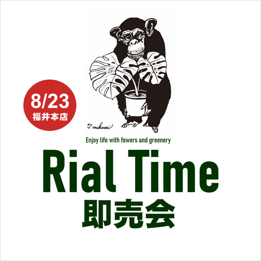 牡丹様売約★雑貨71