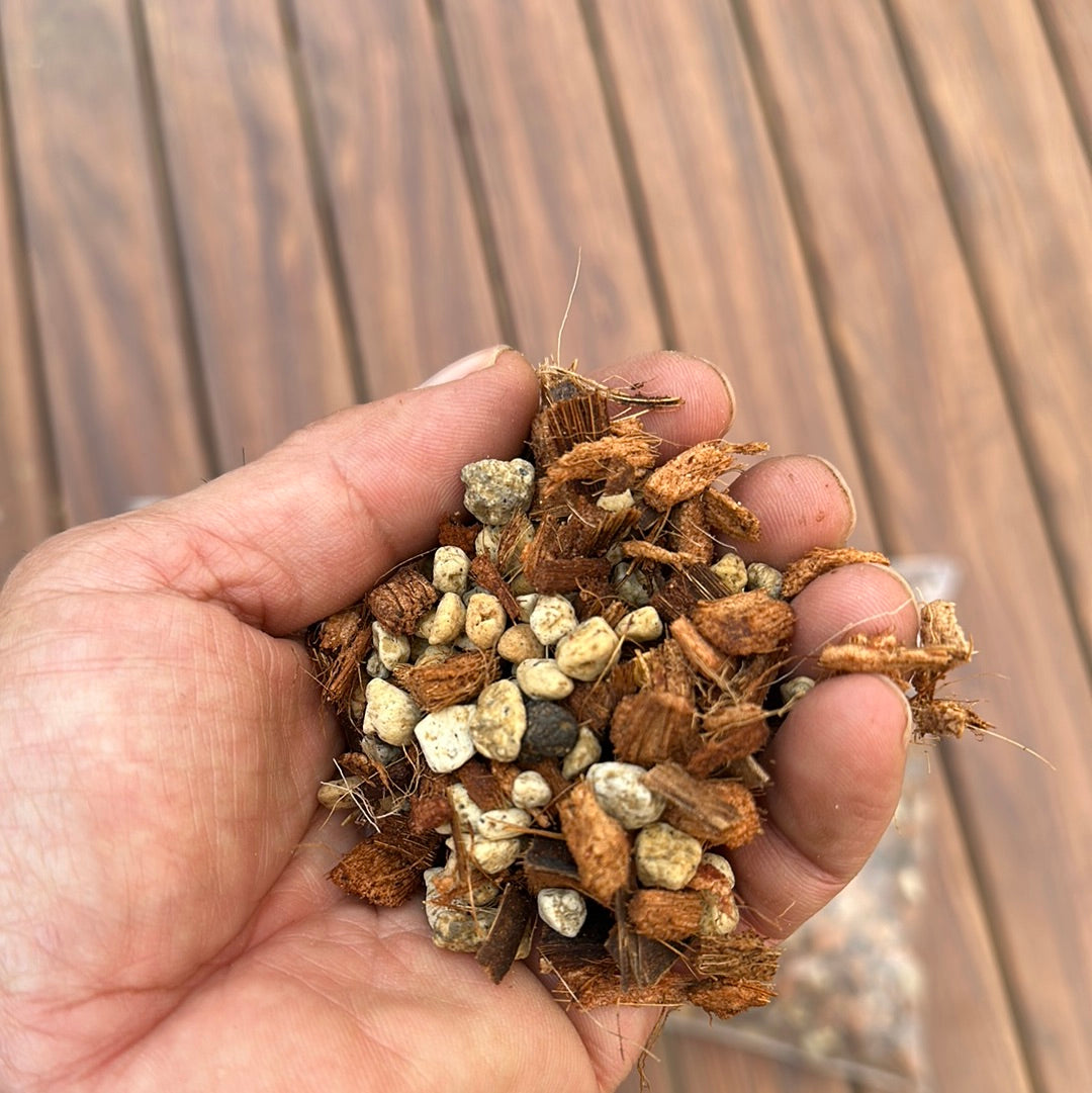 ねこチップ【Sサイズ】★5L入り ★社長絶賛