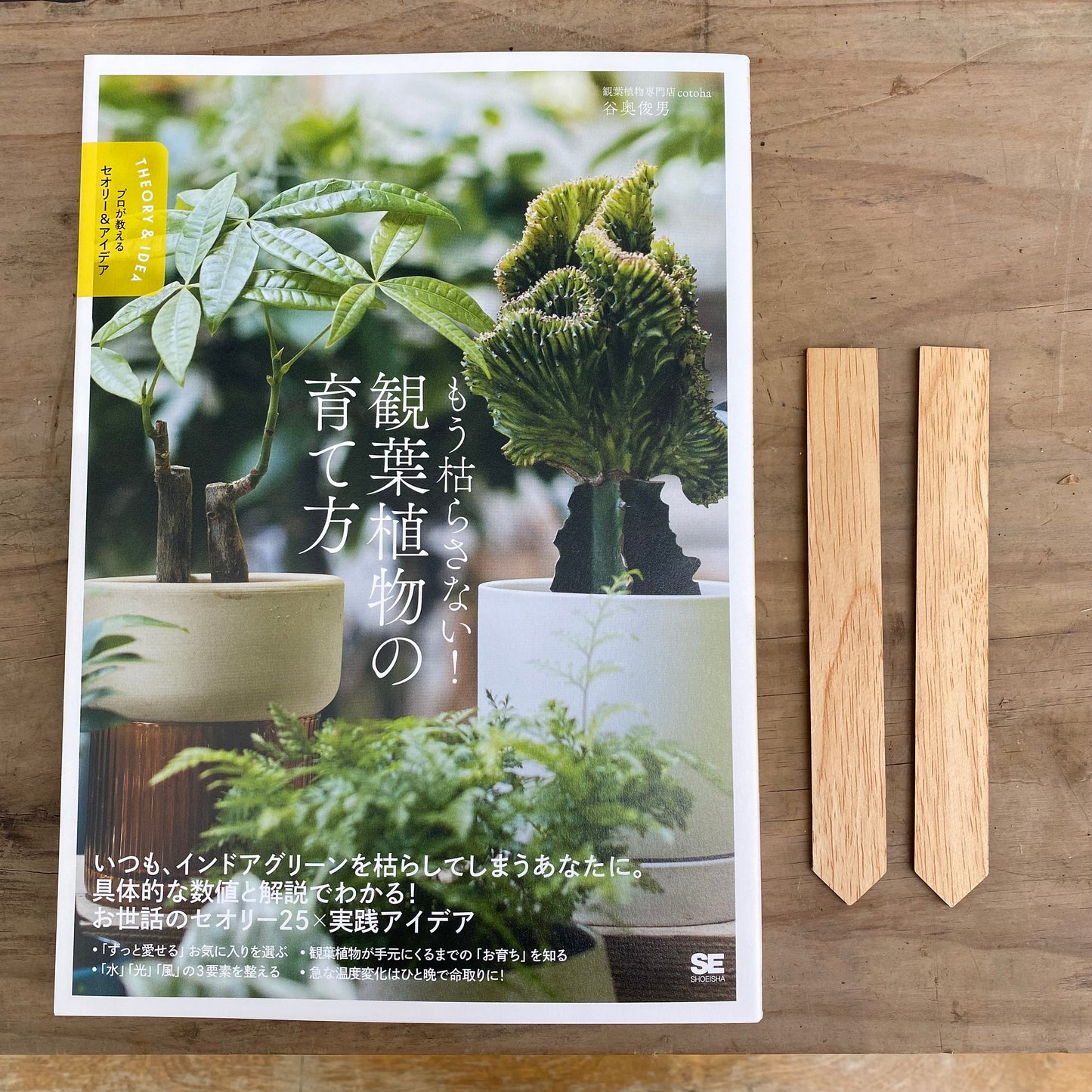 専門誌★もう枯らさない!観葉植物の育て方【著者:観葉植物専門店cotoha 谷奥俊男】★木製園芸ラベル付き