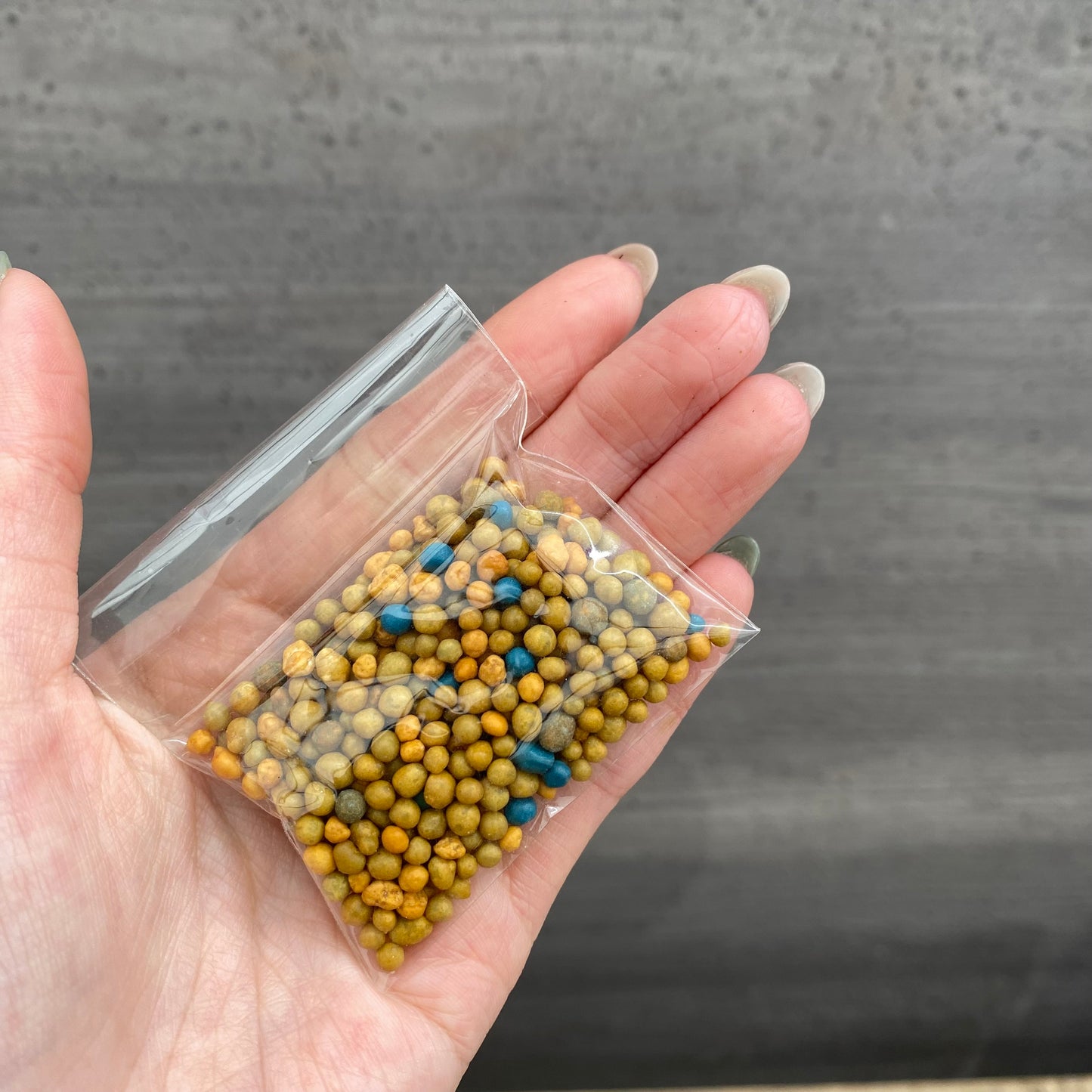 【セット販売】植物植え替え用★半透明スリット鉢4号/ねこチップMサイズ/社長絶賛肥料オスモコート