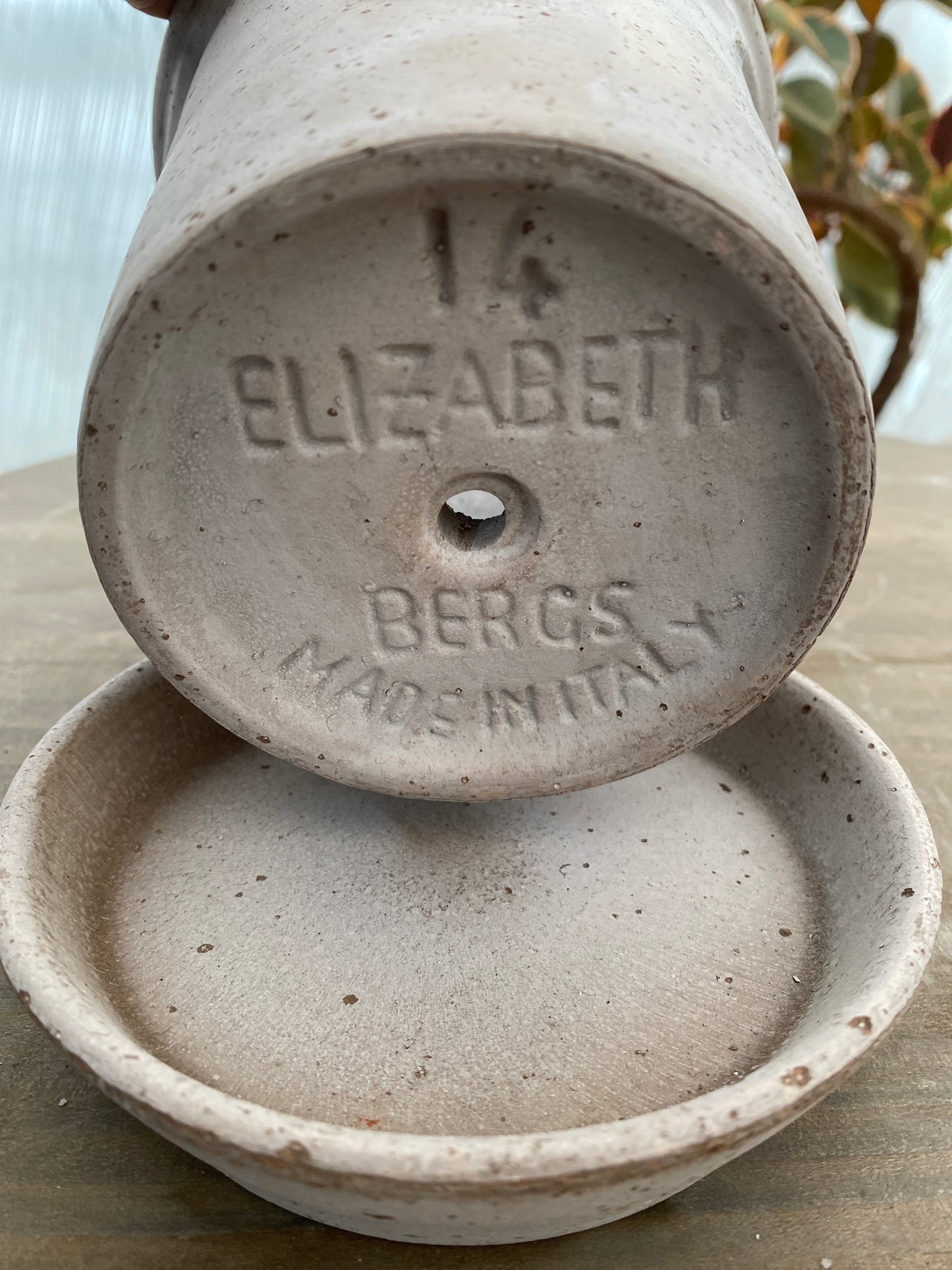 BERGS エリザベス14 グレー