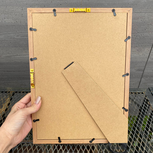 ボタニカルアートフレーム コウモリランA