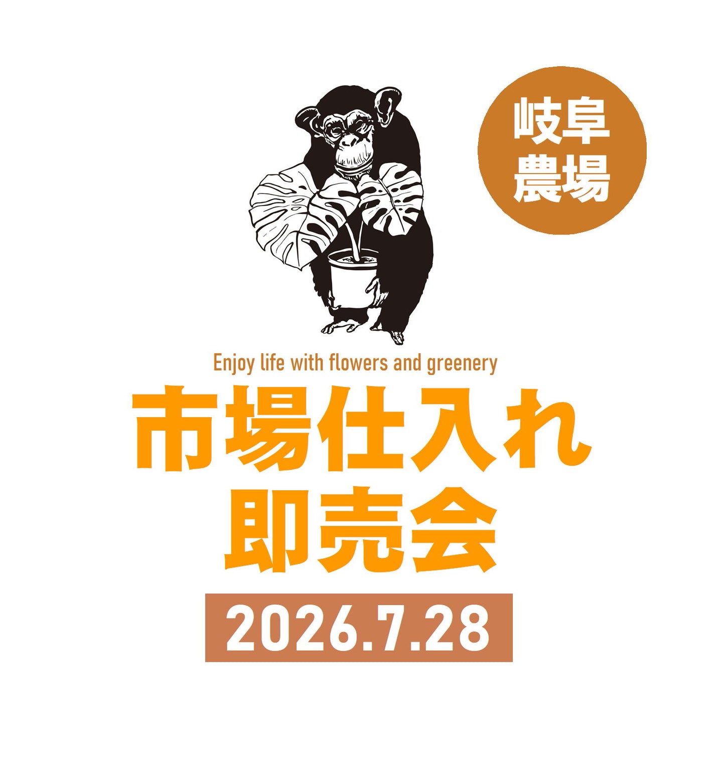 No.28004 プロテア スパイキーホワイト 5号鉢