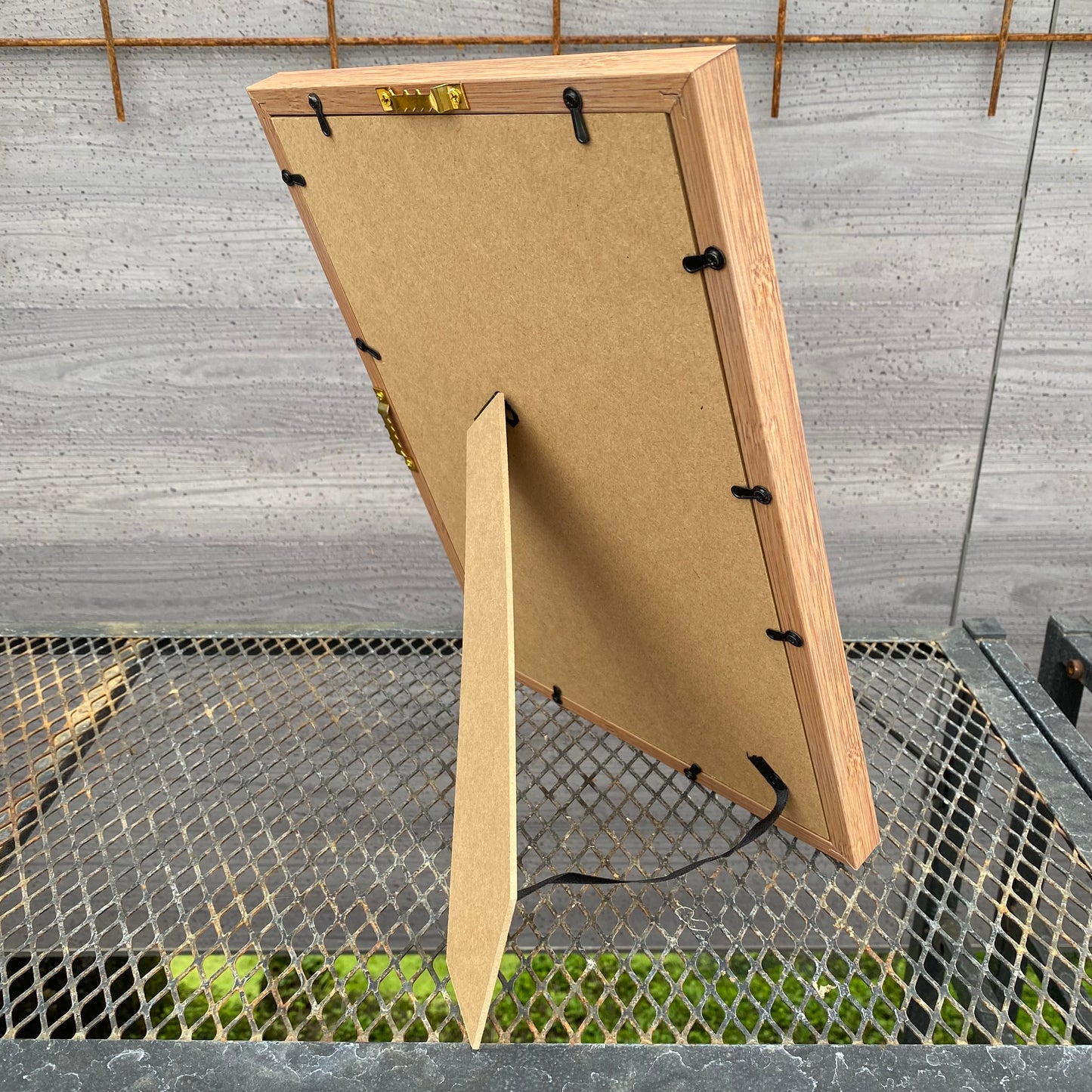 ボタニカルアートフレーム コウモリランB