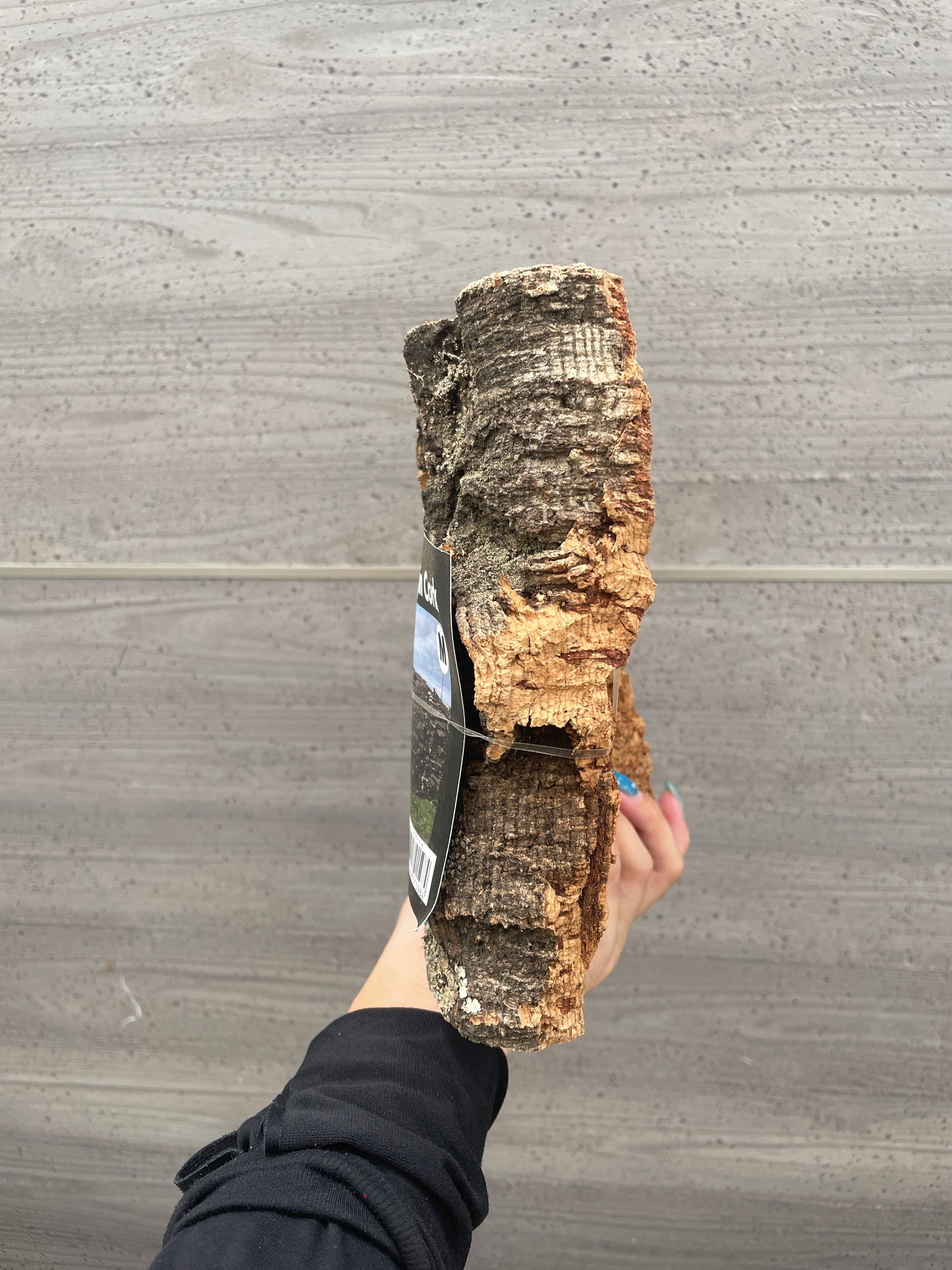 コルク Mサイズ