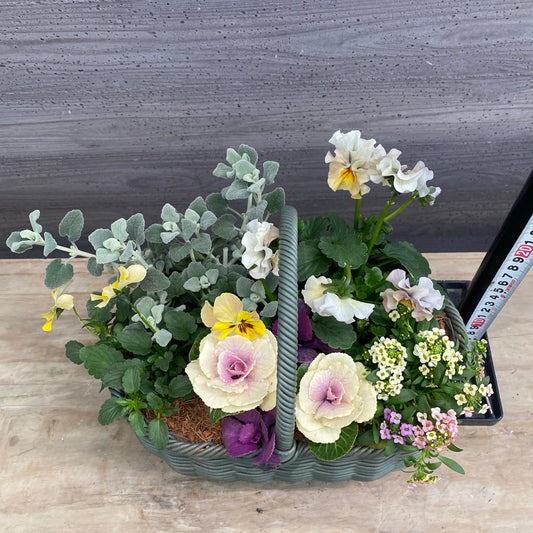 寄せ植えA バスケット