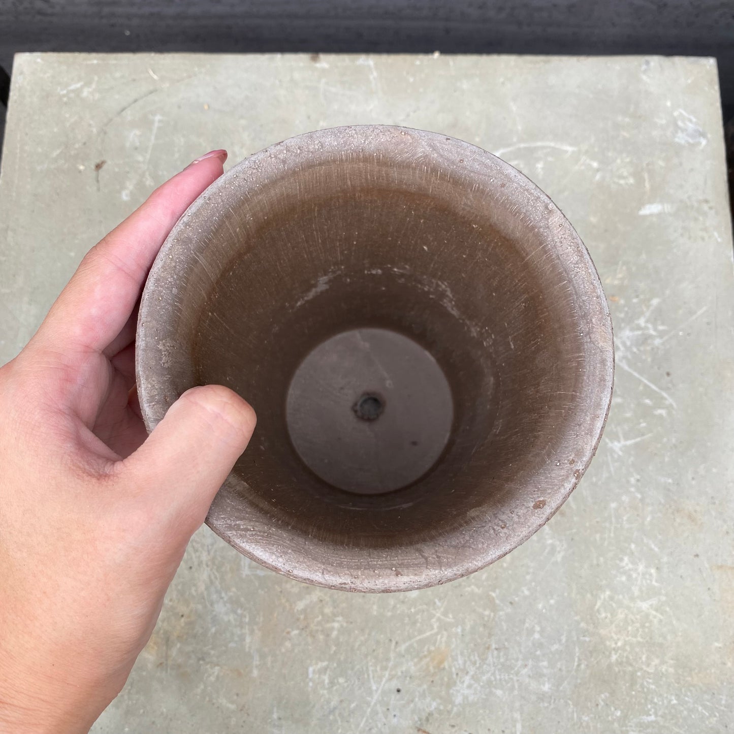 BERGS 陶器鉢 エリザベス12 グレー 受皿付き