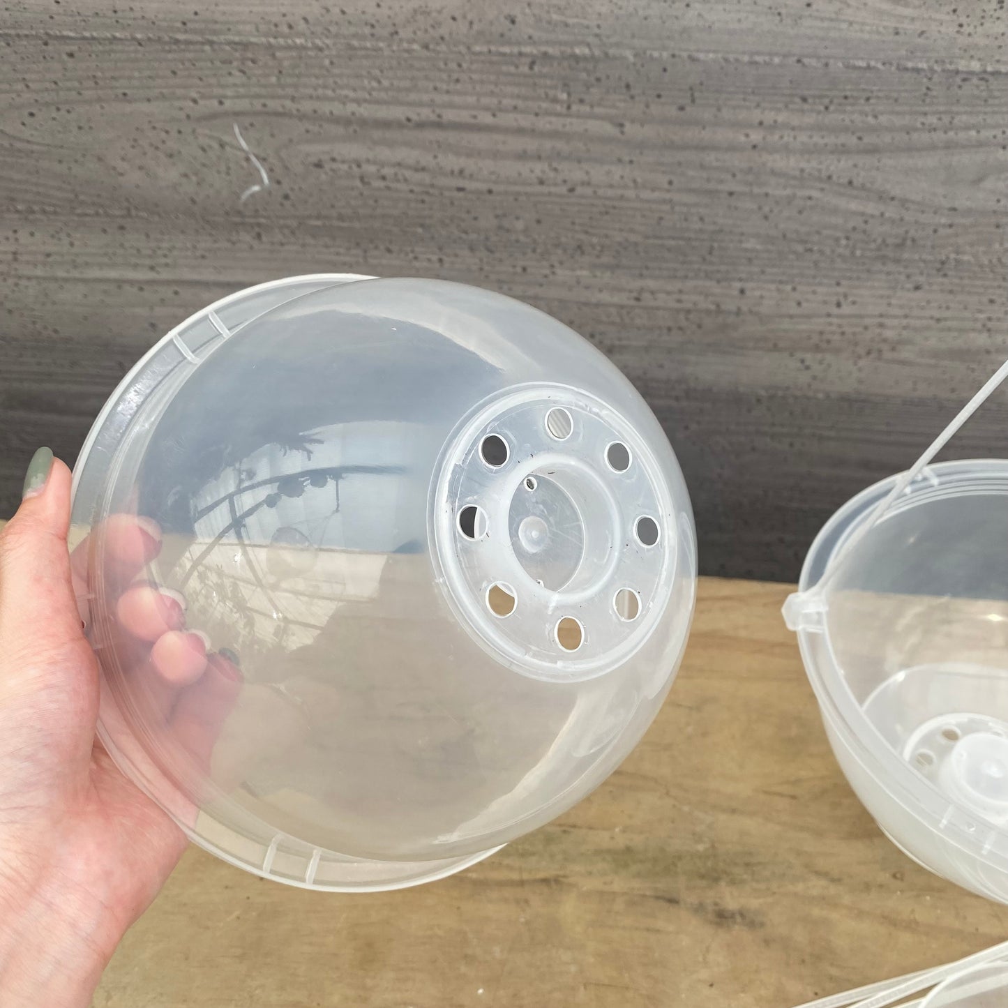 吊り鉢 ネガミエルAIR 6号 2鉢セット