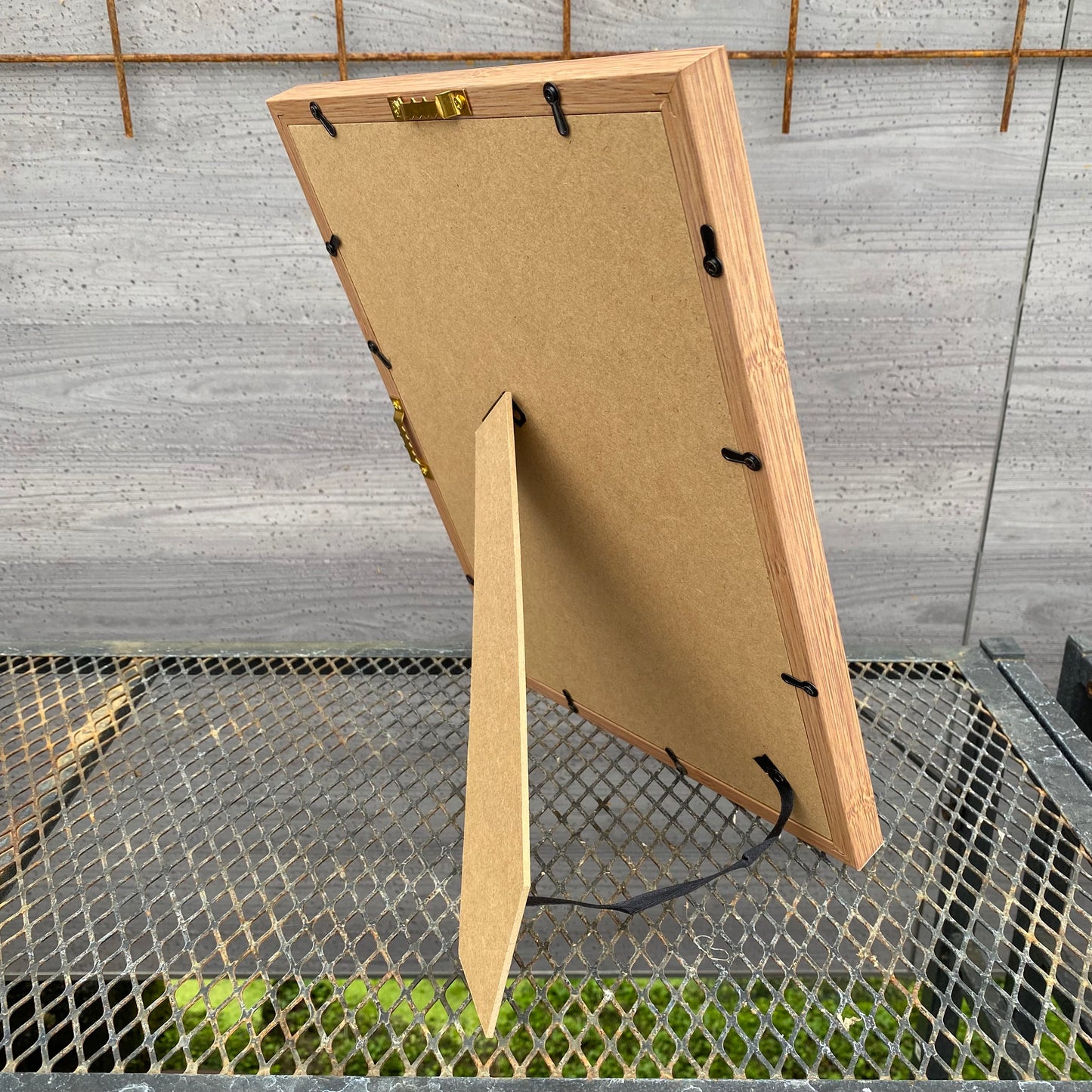 ボタニカルアートフレーム パキポディウム