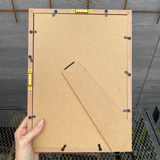 ボタニカルアートフレーム コウモリランC