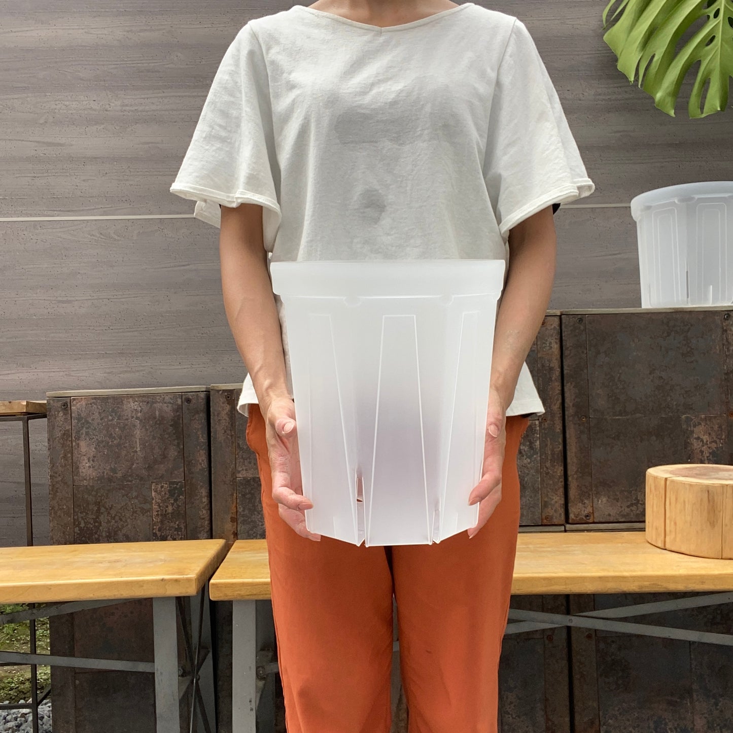 半透明スリット鉢 ★ネガミエル8号(24㎝)