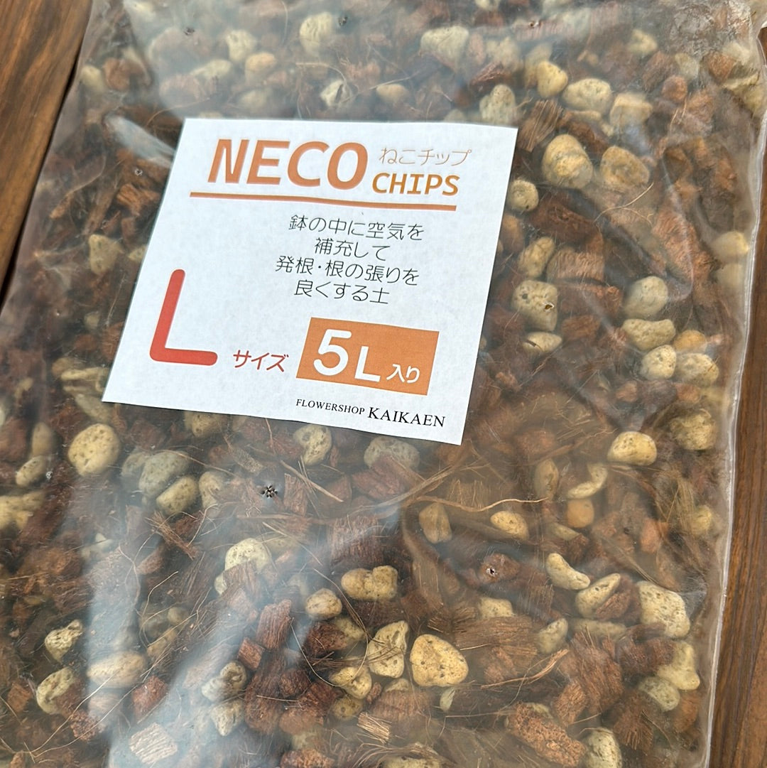 ねこチップ【Lサイズ】★5L入り ★社長絶賛
