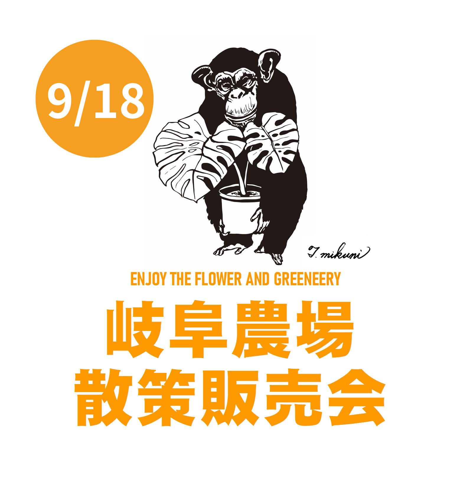 モンステラ 楽天市場】モンステラ 白色 セラアート鉢 8号（バークチップ