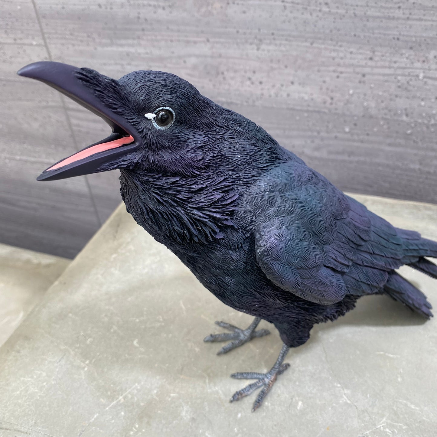 PET BANK シリーズ ハシブトガラス JUNGLE CROW 貯金箱