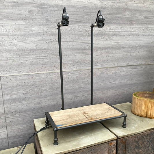 植物専用LEDライト 口径E26用 COBAダブルスタンド B