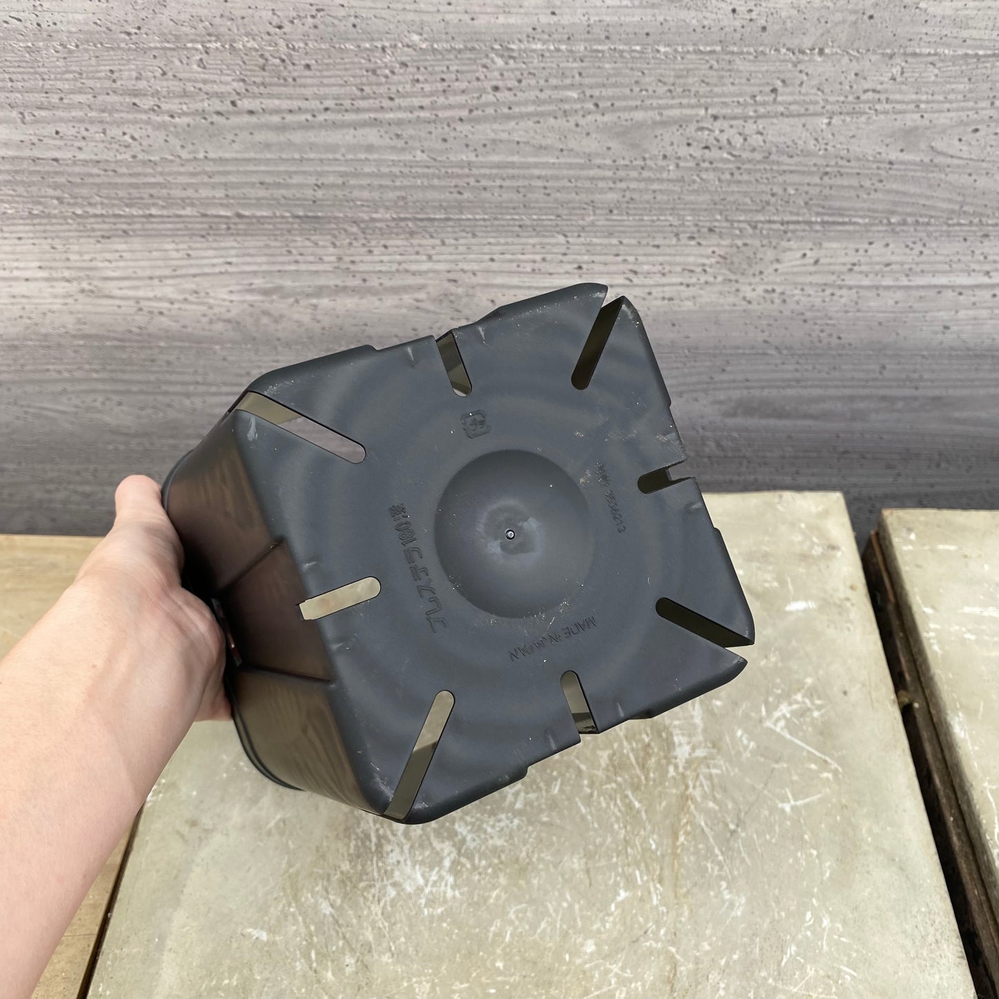 6号 プレステラ 黒 5鉢セット