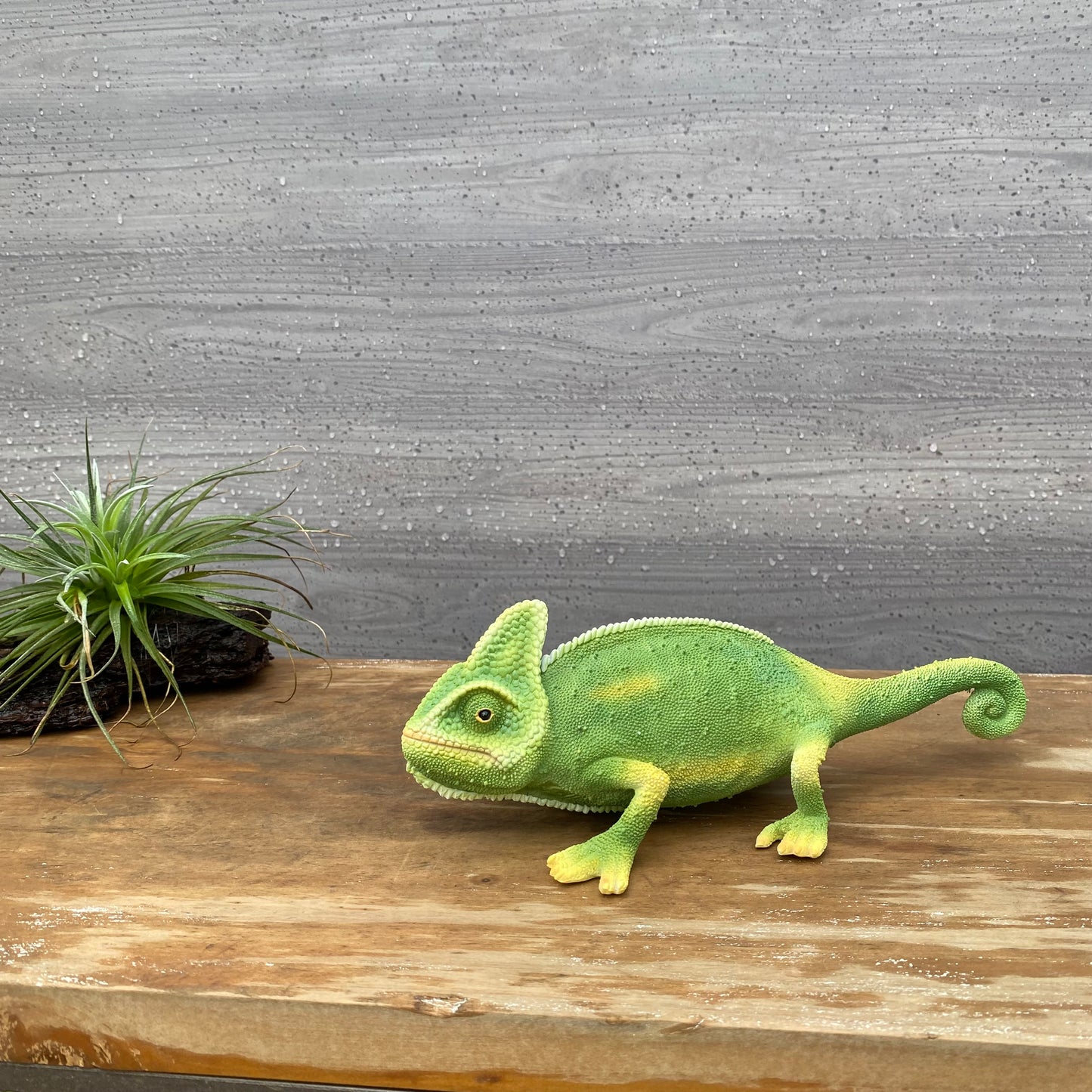 PET BANK シリーズ カメレオン CHAMELEON 貯金箱