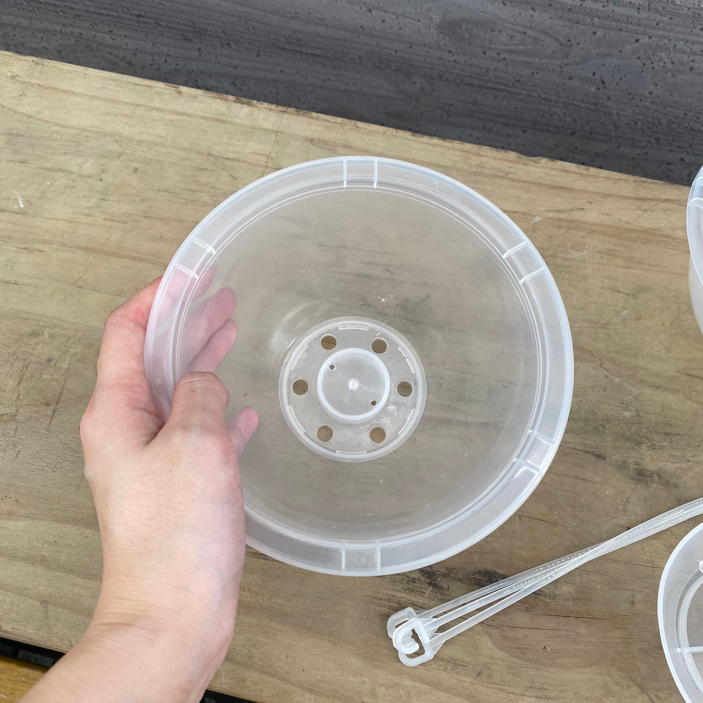 吊り鉢 ネガミエルAIR 5号 2鉢セット