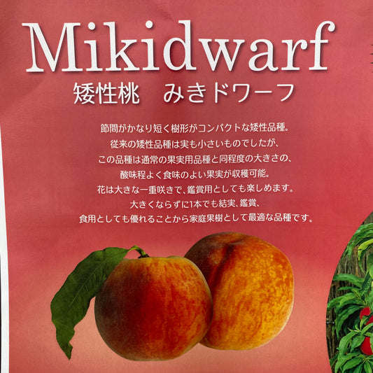 矮性桃 みきドワーフ 5号苗ポット ★1本で結実します