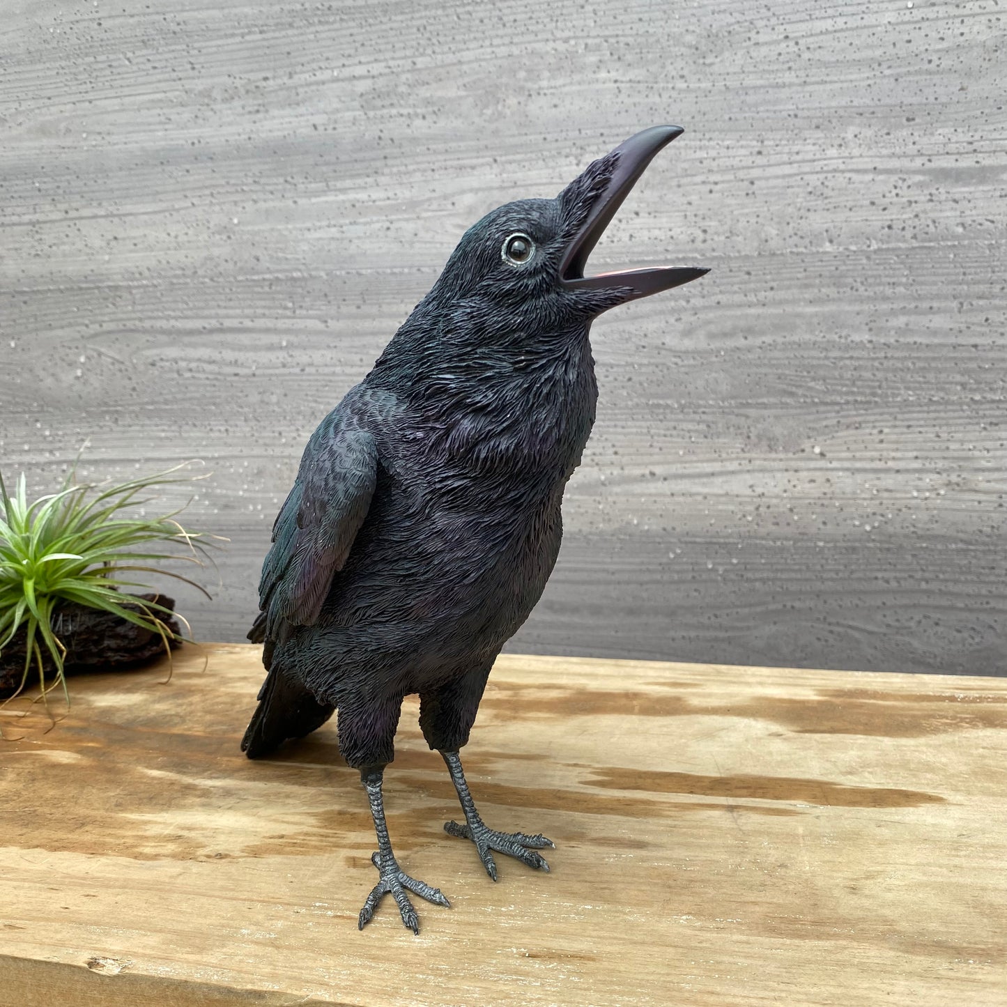 PET BANK シリーズ ハシブトガラス JUNGLE CROW 貯金箱